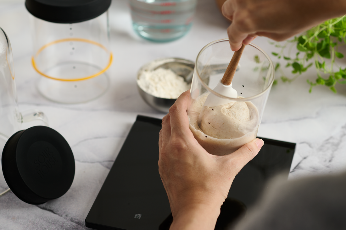 How to Revive a Sourdough Starter (Even After Months in the Fridge)