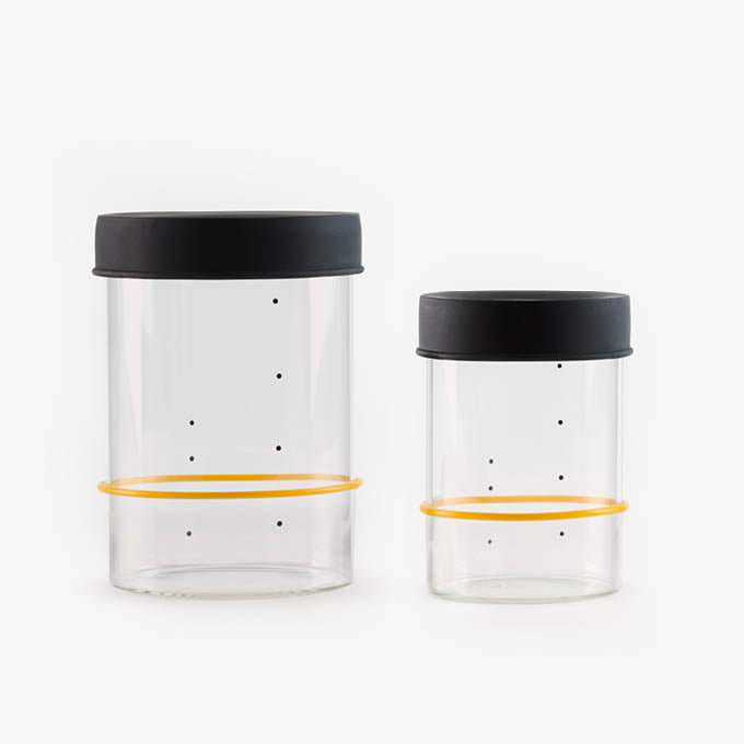 Essential Bundle - Goldie + Starter Jar