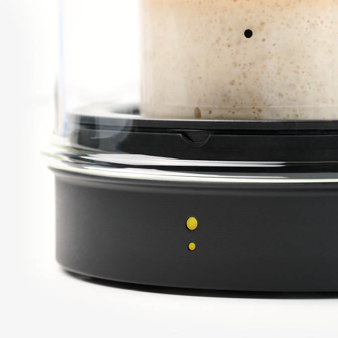 Essential Bundle - Goldie + Starter Jar